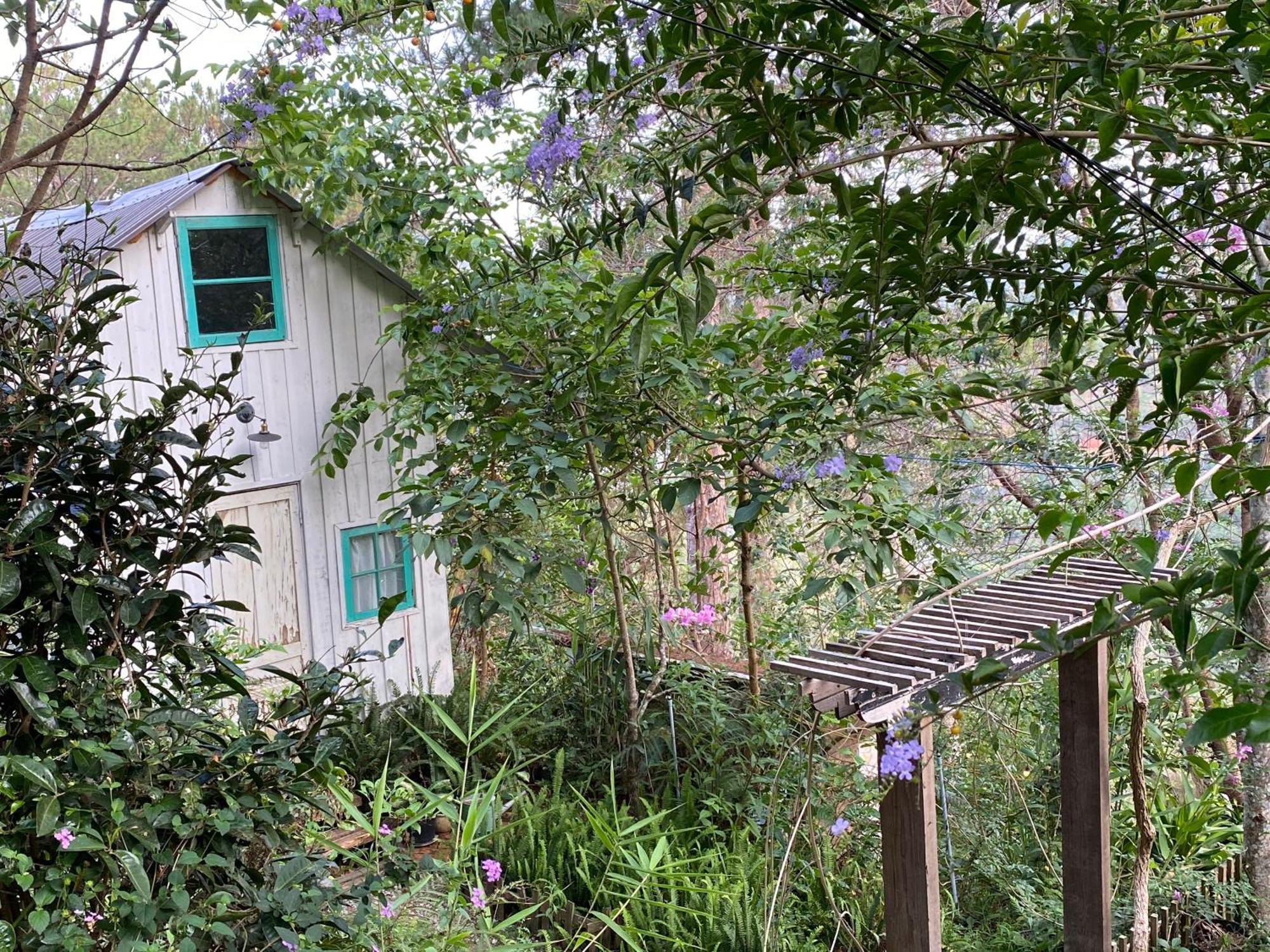 Dalat Memories Homestay - Pho Suong Mo Da Lat Exterior photo